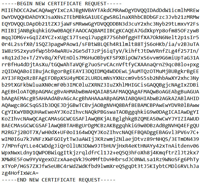 Figure 12.11 – CSR Base64 encoding
