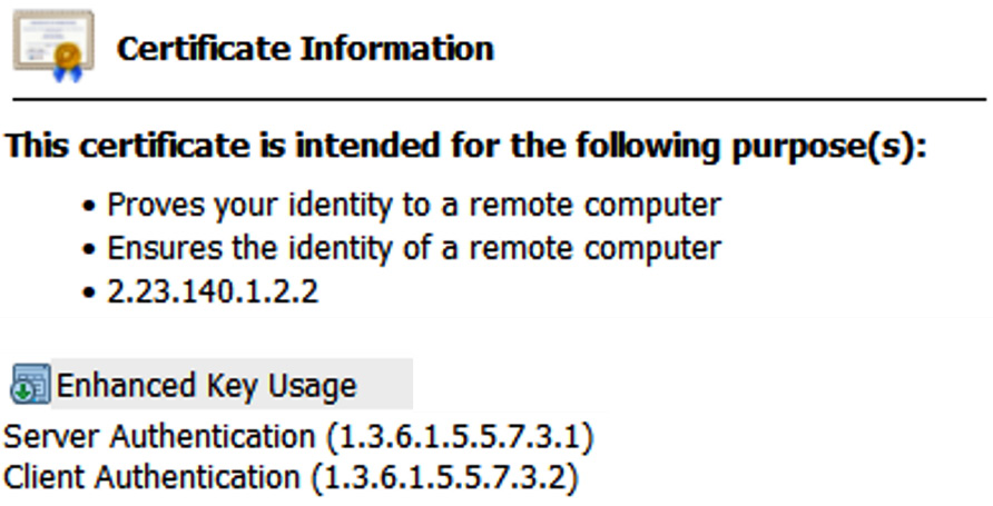 Figure 12.12 – Enhanced Key Usage extension
