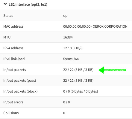 Figure 3.11 – Loopback interface overview: packets incremented after ping test
