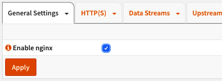 Figure 18.12 – Enabling the NGINX service
