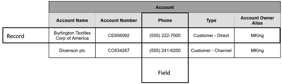 Figure 1.2 – Objects, records, and fields
