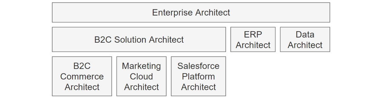 Figure 11.3 – Types of architects
