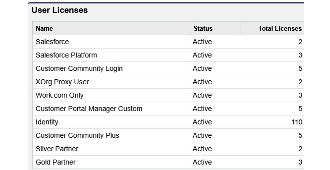 Figure 2.5 – User licenses
