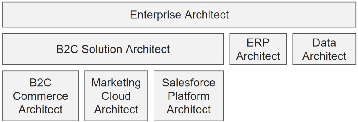 Figure 6.2 – Types of architects
