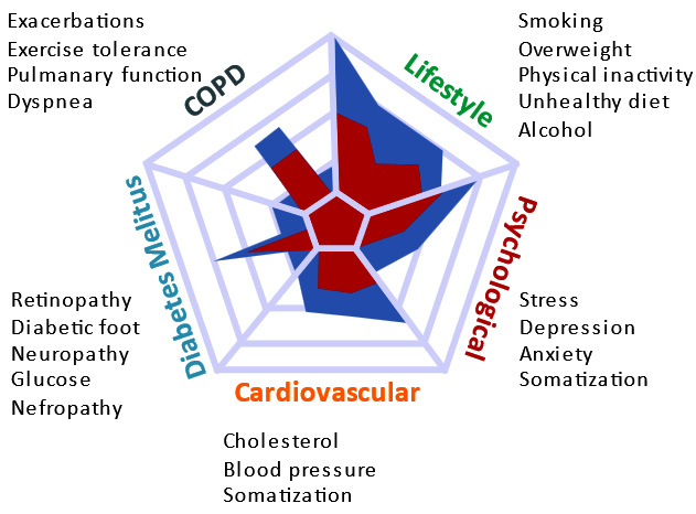 Figure 1.8 – Integrated Care (INCA) spider diagram, used with the consent of Dr. Javier Asin
