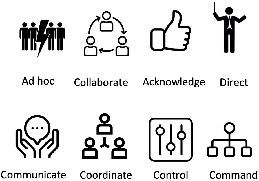 Figure 5.4 – The 4Cs and networked organizations’ icons
