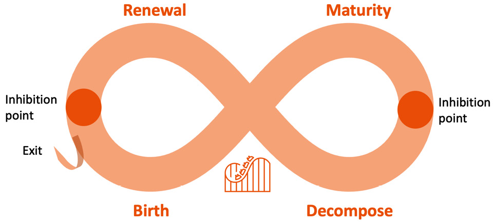 Figure 6.2 – The adaptive ecocycle
