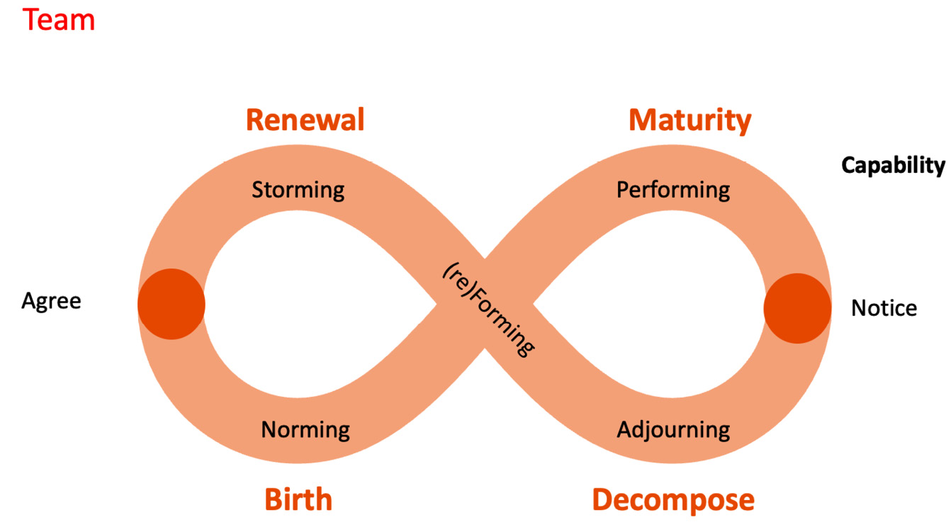 Figure 6.7 – The team ecocycle
