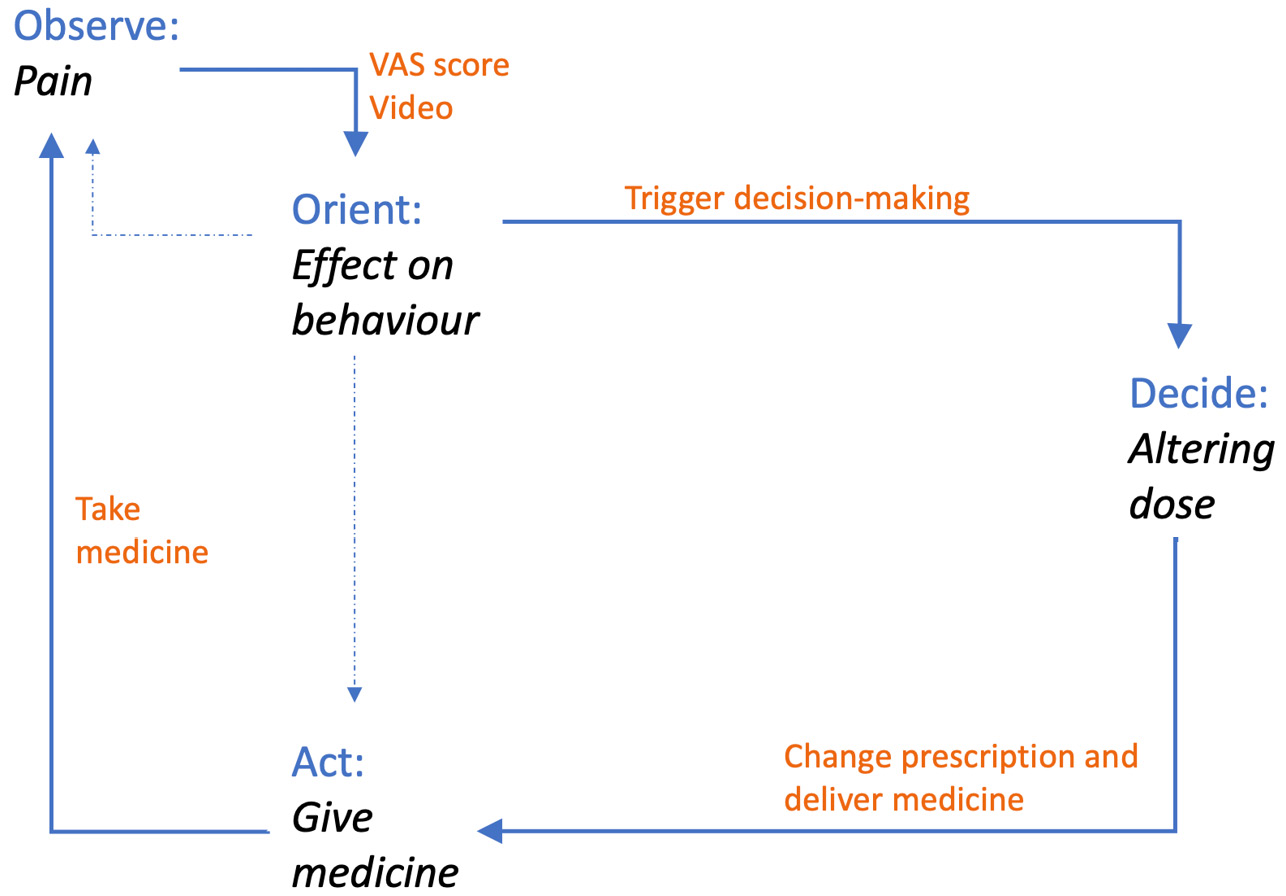 Figure 8.1 – OODA activities
