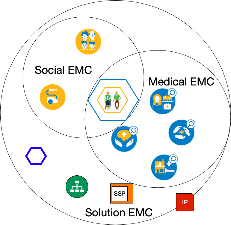 Figure 11.1 – EMCs for organizing health
