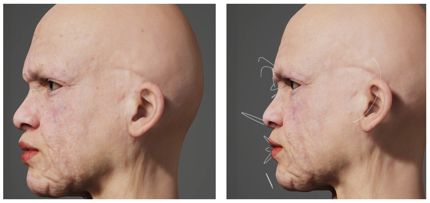 Figure 2.44: Sculpt points and Move guidelines
