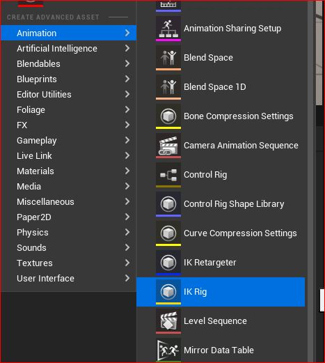 Figure 6.14: Creating an IK Rig
