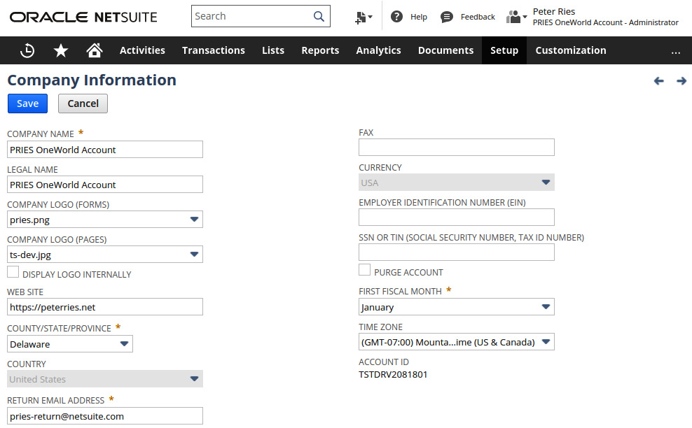 Figure 6.1 – The NetSuite screen for company information
