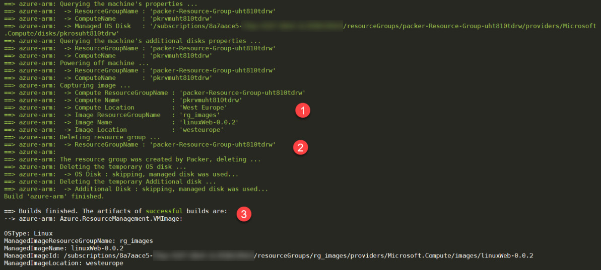 Figure 4.10 – Packer execution output