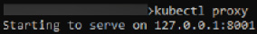 Figure 10.5 – kubectl proxy command
