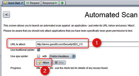 Figure 13.2 – OWASP ZAP – Automated Scan