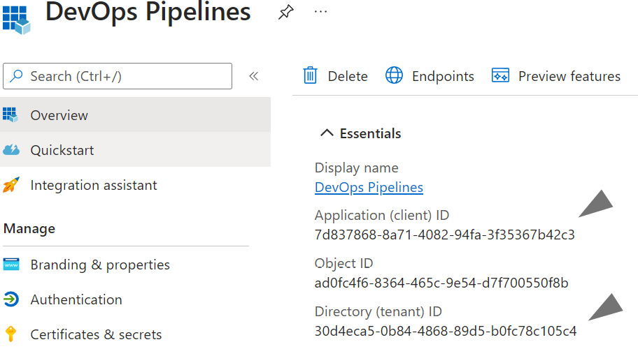 Figure 14.19 – The application ID and tenant IDs for an Azure app registration
