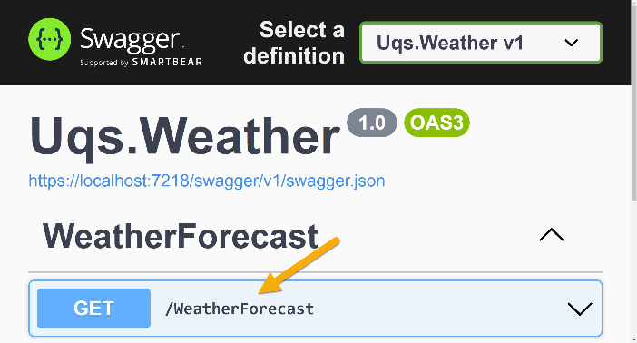 Figure 2.3 – Swagger UI showing the available GET API
