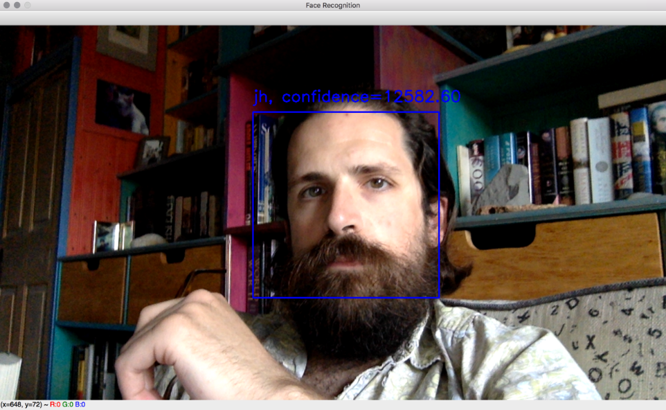 Figure 5.3: A face recognition result using live camera input