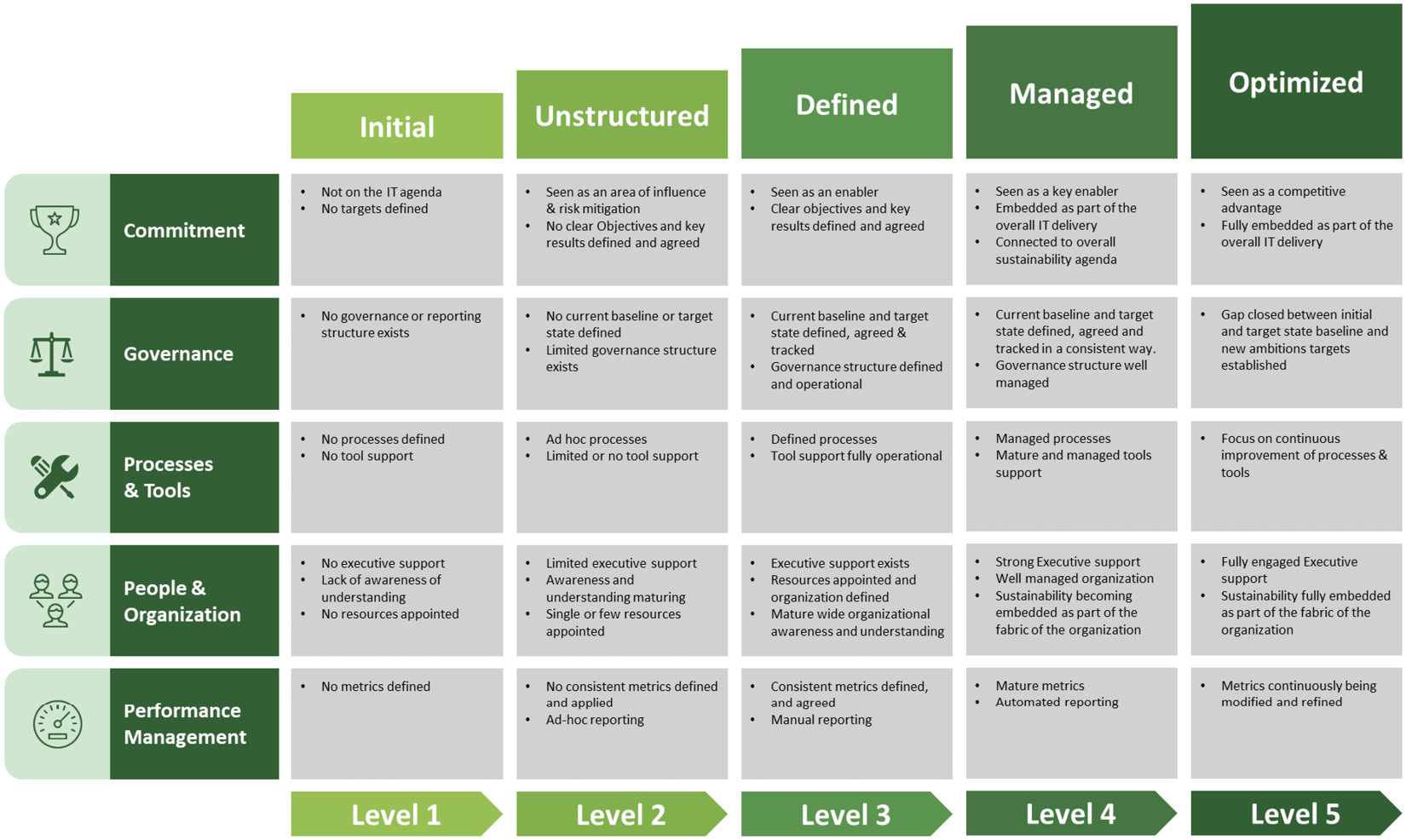 Figure 12.3 – Sustainable IT maturity model©
