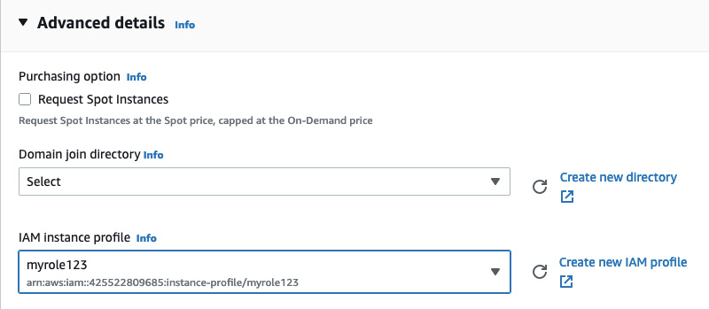 Figure 10.11 – Newly created IAM instance profile