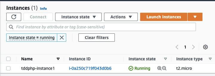 Figure 10.12 – Amazon Linux 2 instance running