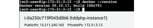 Figure 10.27 – Docker installed