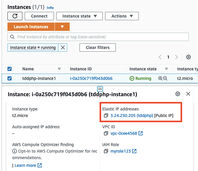 Figure 10.39 – Elastic IP addresses link