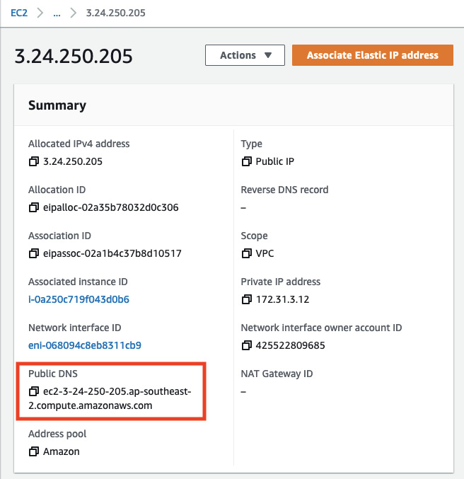 Figure 10.40 – Elastic IP – Public DNS