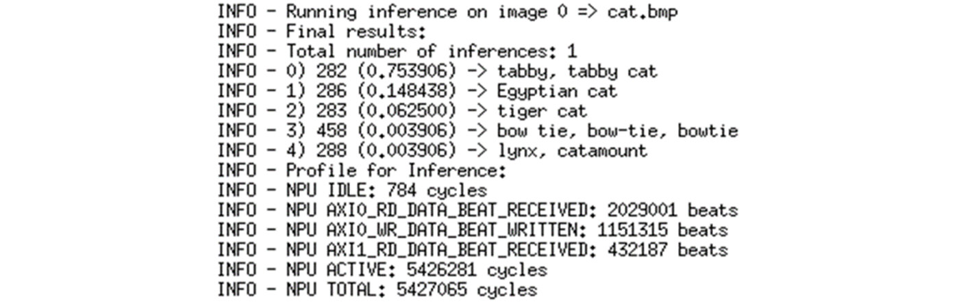 Figure 6.5 – Output from image classification example
