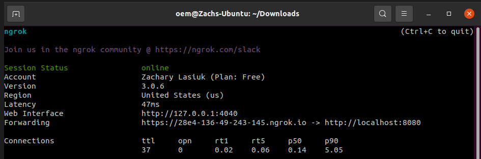 Figure 9.2 – The command line after starting ngrok
