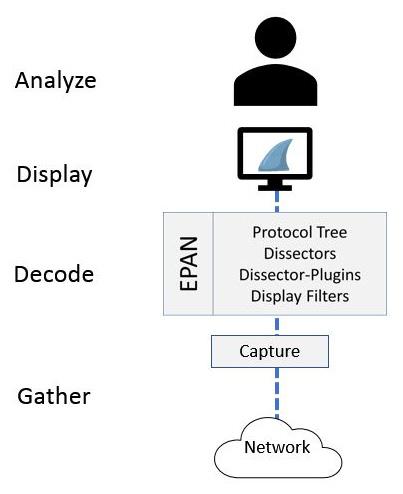 Figure 7.1 – Phases of packet analysis 
