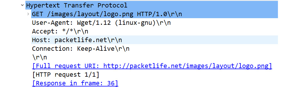 Figure 9.9 – HTTP header
