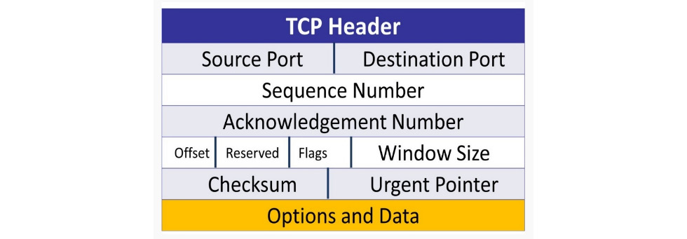 Figure 9.10 – The TCP header
