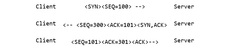 Figure 9.12 – The three-way handshake
