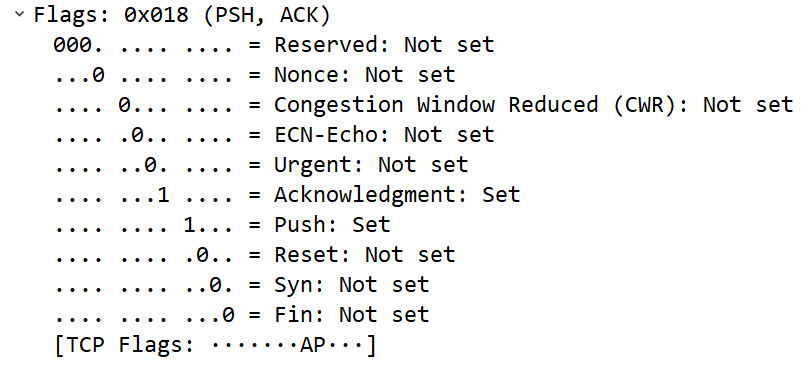  Figure 9.17 – Viewing the TCP flags
