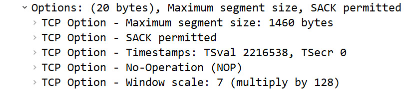 Figure 9.19 – TCP options
