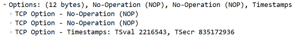 Figure 9.21 – TCP options for Frame 4
