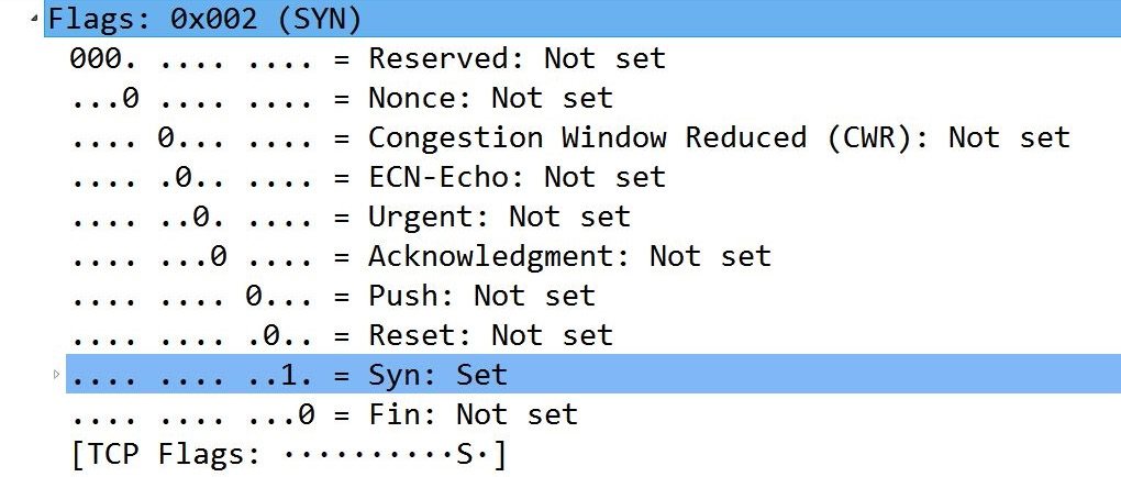  Figure 10.8 – The TCP Syn flag set
