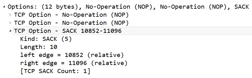 Figure 10.18 – TCP SACK option evident in bigFlows.pcap
