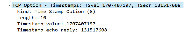 Figure 10.19 – Viewing the TCP Timestamps option
