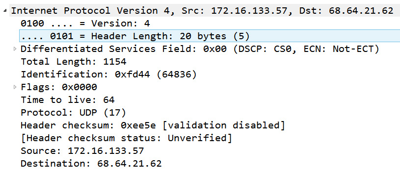 Figure 11.3 – bigFlows Frame 1—IPv4 header
