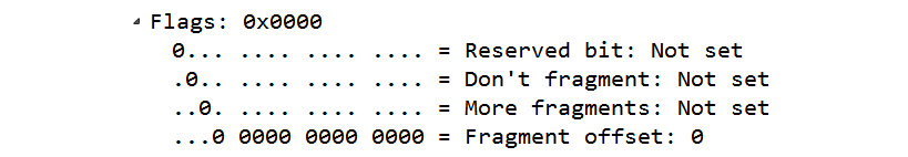 Figure 11.7 – IP flags
