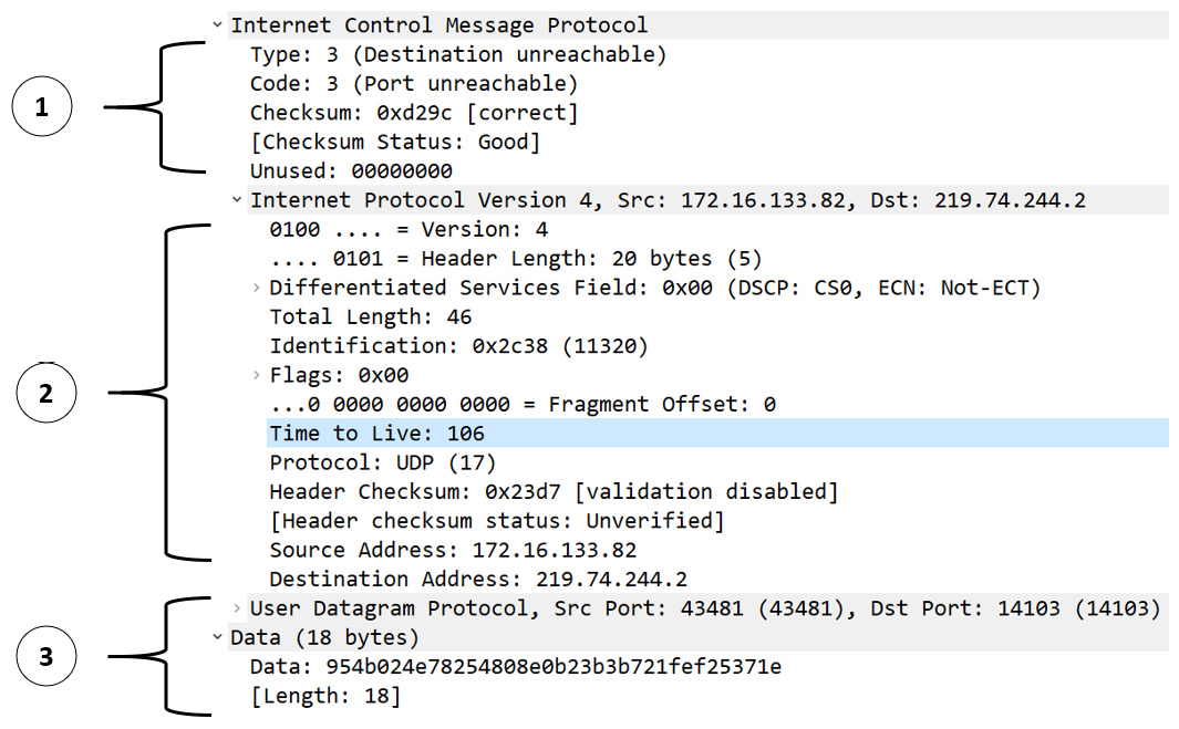 Figure 12.7 – ICMP echo request details
