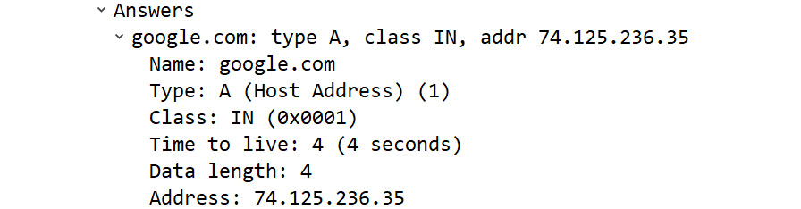 Figure 13.4 – A DNS RR answer 
