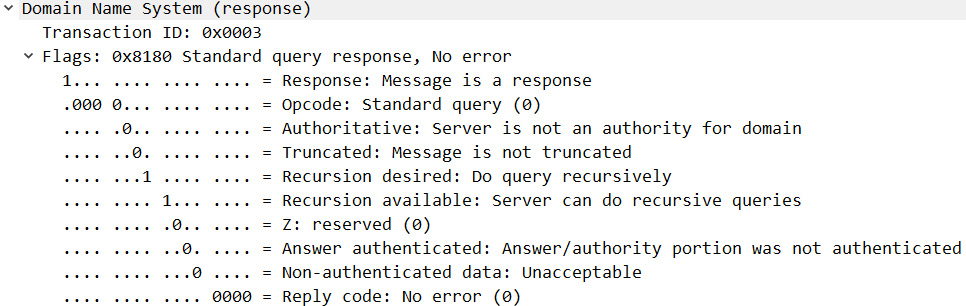 Figure 13.6 – The expanded DNS header
