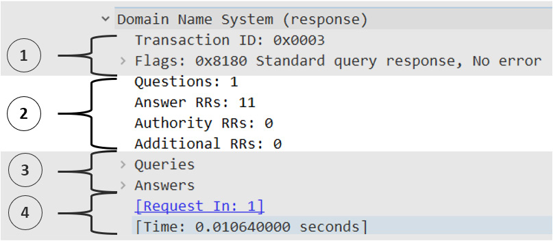 Figure 13.8 – The DNS summary section
