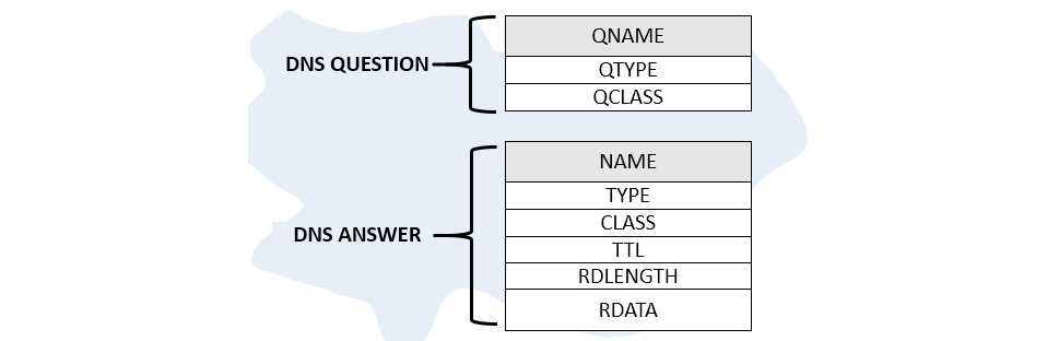 Figure 13.9 – DNS questions and answers
