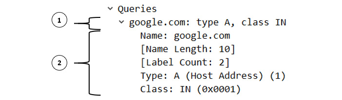 Figure 13.10 – The DNS client query
