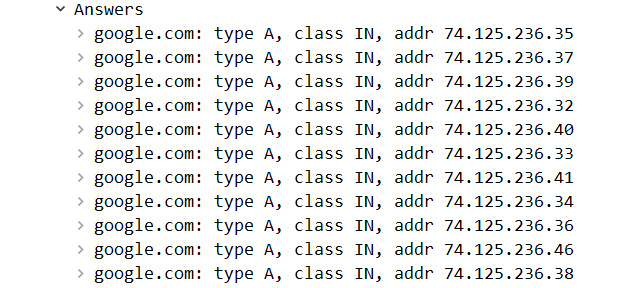 Figure 13.11 – The DNS server answers
